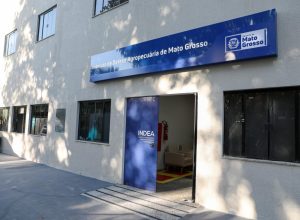 Indea fachada