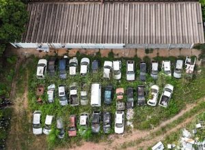 carros 2